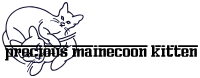 preciousmainecoonkittens